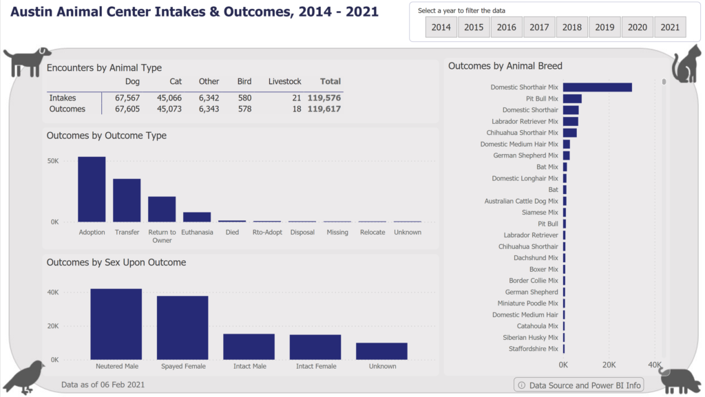 Power BI Report about the Austin Animal Shelter